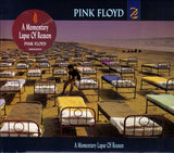 Pink Floyd ‎– A Momentary Lapse Of Reason