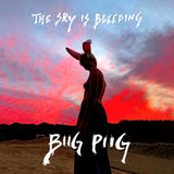 Biig Piig - The Sky Is Bleeding [VINYL]