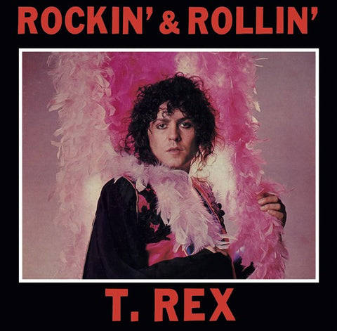 T. REX - ROCKIN' & ROLLIN' [VINYL]