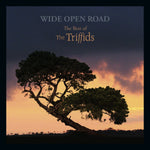 The Triffids ‎– Wide Open Road (The Best Of The Triffids) [CD]