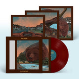 Villagers - Fever Dreams