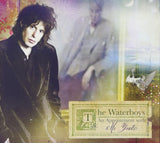 The Waterboys ‎– An Appointment With Mr Yeats