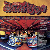 The Waterboys - Room To Roam [VINYL]