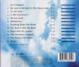 The Waterboys ‎– A Rock In The Weary Land [CD]